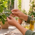 Cochonilhas no jardim é uma praga que tem gerado muita dor de cabeça aos amantes de plantas, más esse problema pode acabar com uma solução caseira infalível